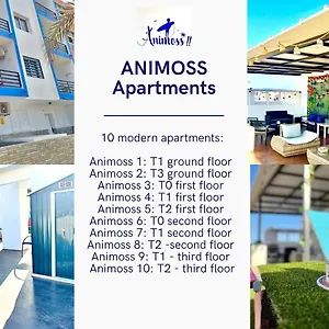 Animos! - 10 Modern Near The & Beach, Perfect For Nomads, Travellers, Families, Watersports! , Santa Maria Cap-Vert